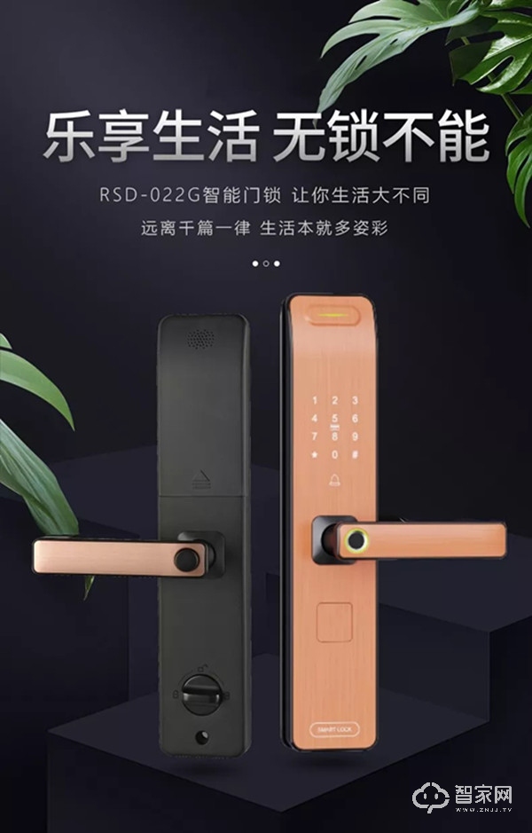 荣事达智能锁 RSD-022G时尚直板指纹密码锁