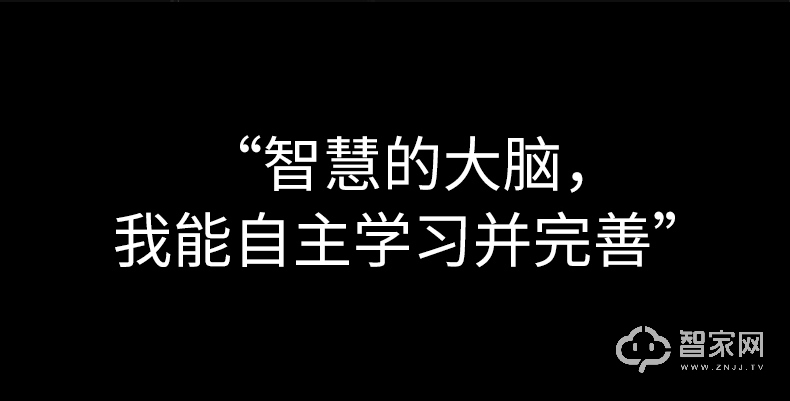 德施曼指纹锁T11 家用防盗门密码锁 智能锁电子门锁