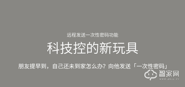 德施曼指纹锁T11 家用防盗门密码锁 智能锁电子门锁