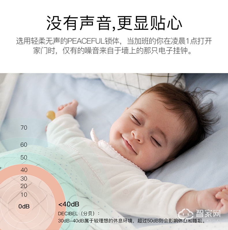 德施曼D830V/S防盗门密码锁 智能指纹电子门锁