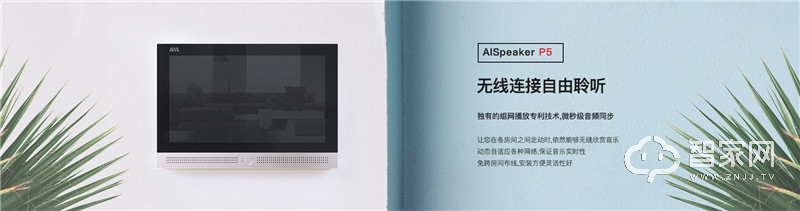  声必可AISpeaker P5背景音乐主机