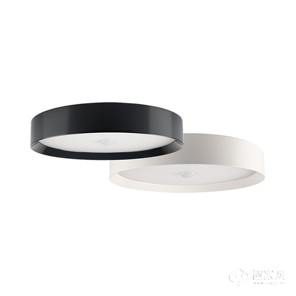 LED Ceiling Light RGBW LED吸顶灯.jpg