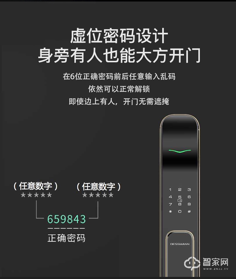 德施曼智能锁 指纹锁家用防盗门电子门锁G302